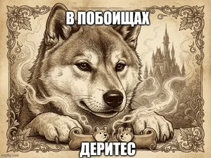 augmkw_300.webp