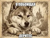 augmkw_300.webp