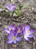 IMG_20220331_141800.webp